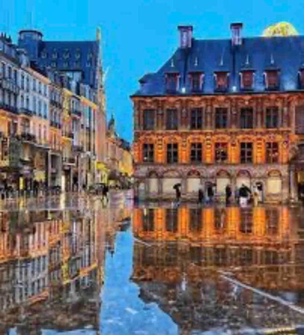 Appartement F3 & Solferino Lille Luaran gambar